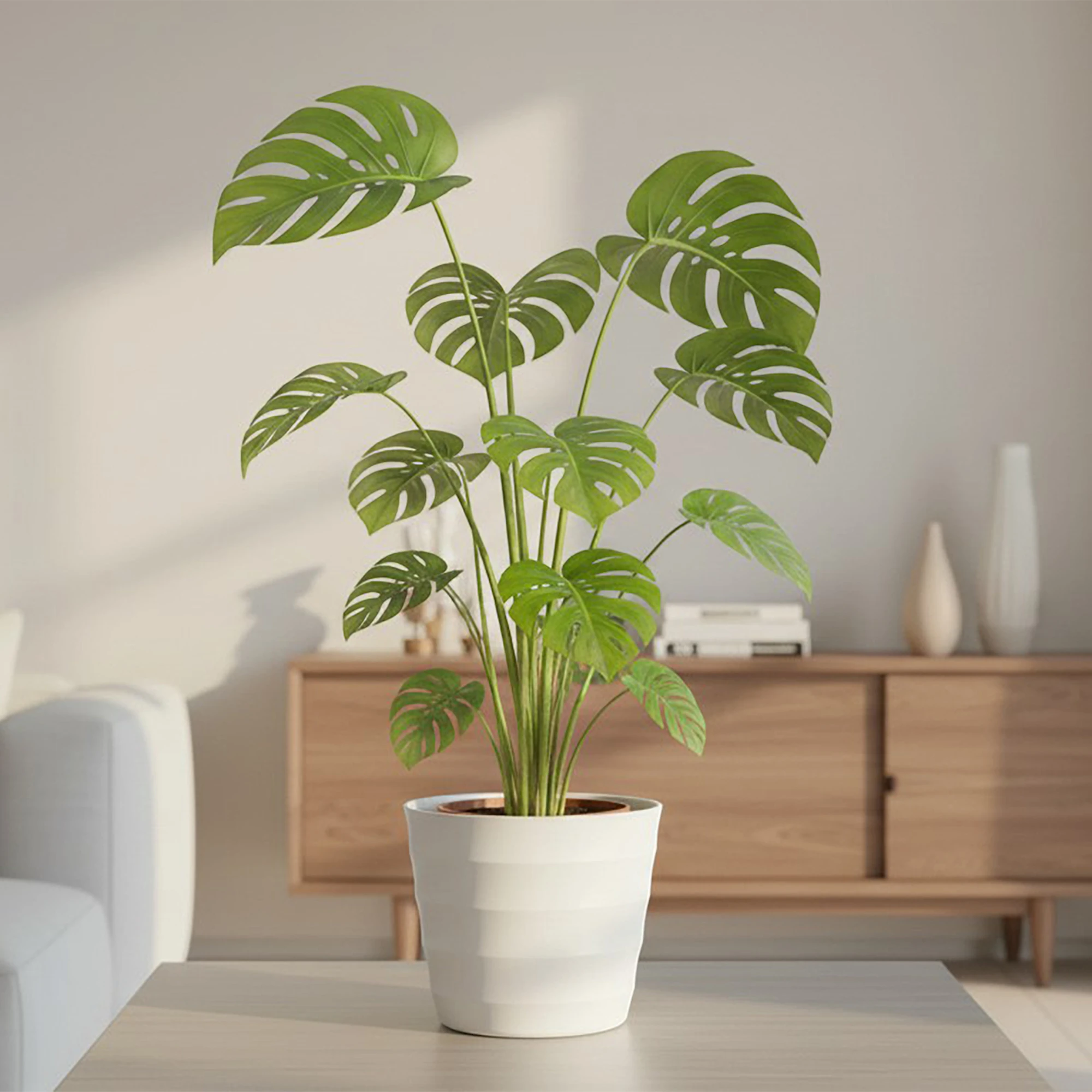 Terracotta planter.